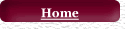 Home Button
